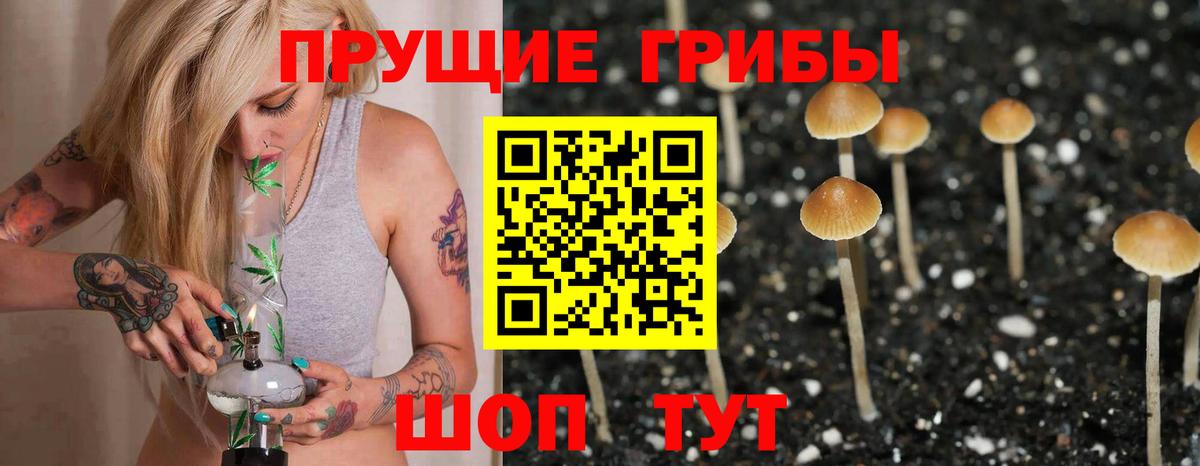 Галлюциногенные грибы мухоморы Туапсе