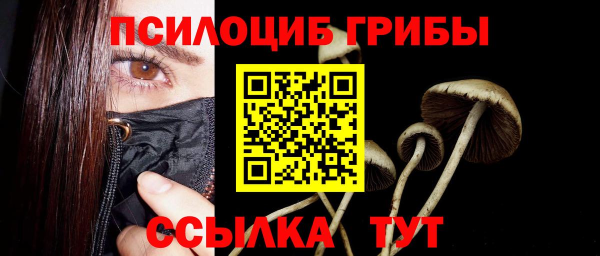 Псилоцибиновые грибы GOLDEN TEACHER  купить   Вход с VPN  Туапсе  Галлюциногенные грибы Psilocybine cubensis 